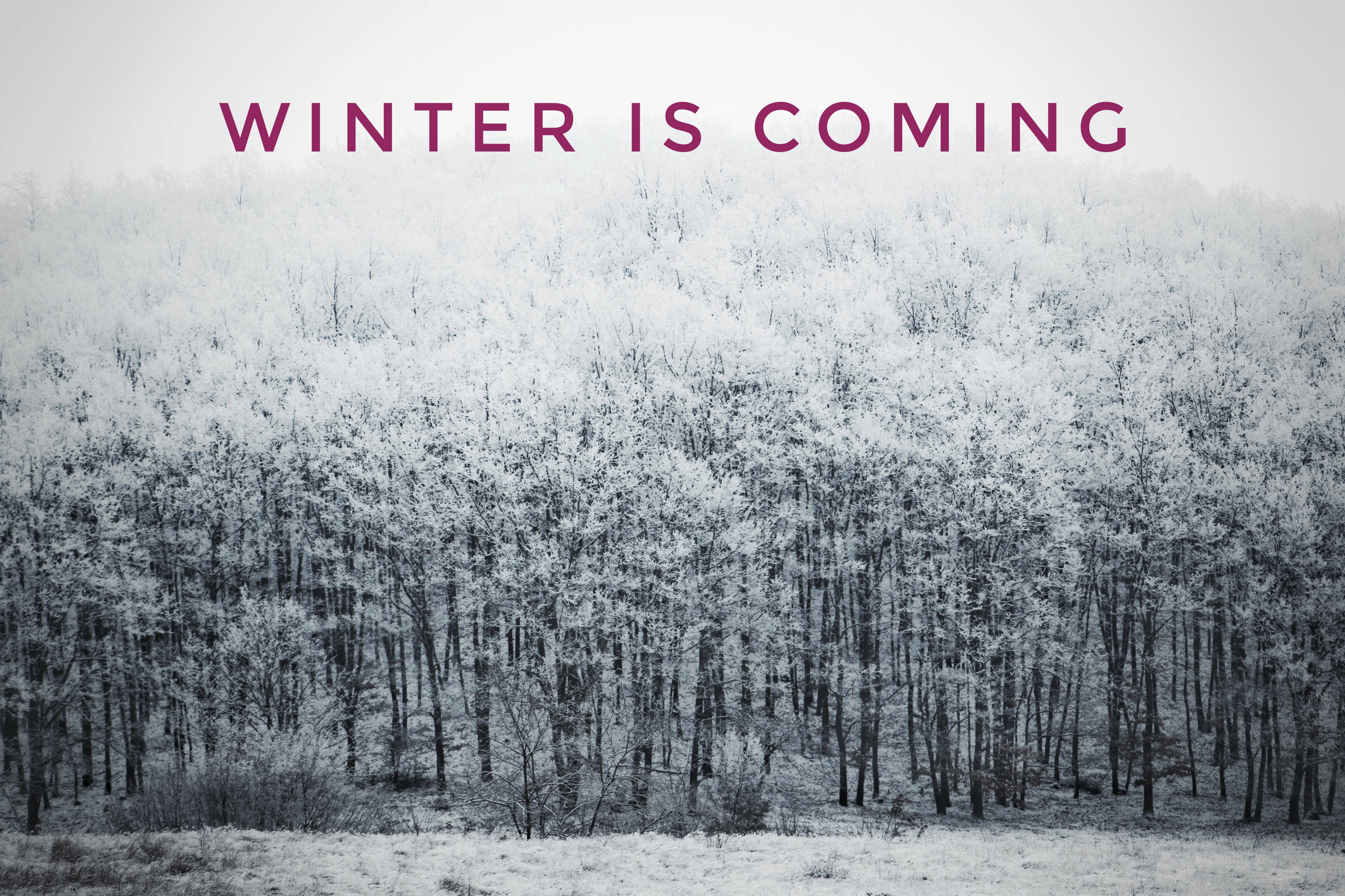Winter is Coming - Large