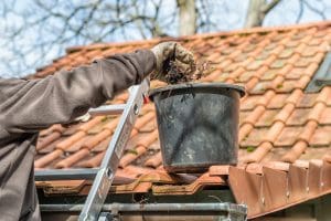 Man on Ladder Clearing out gutters